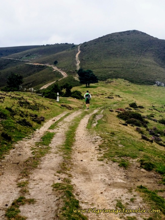 Arriving at the Hospital Paradiella