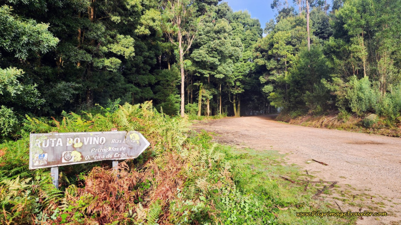 Leave the CF-102 on Another Dirt Road