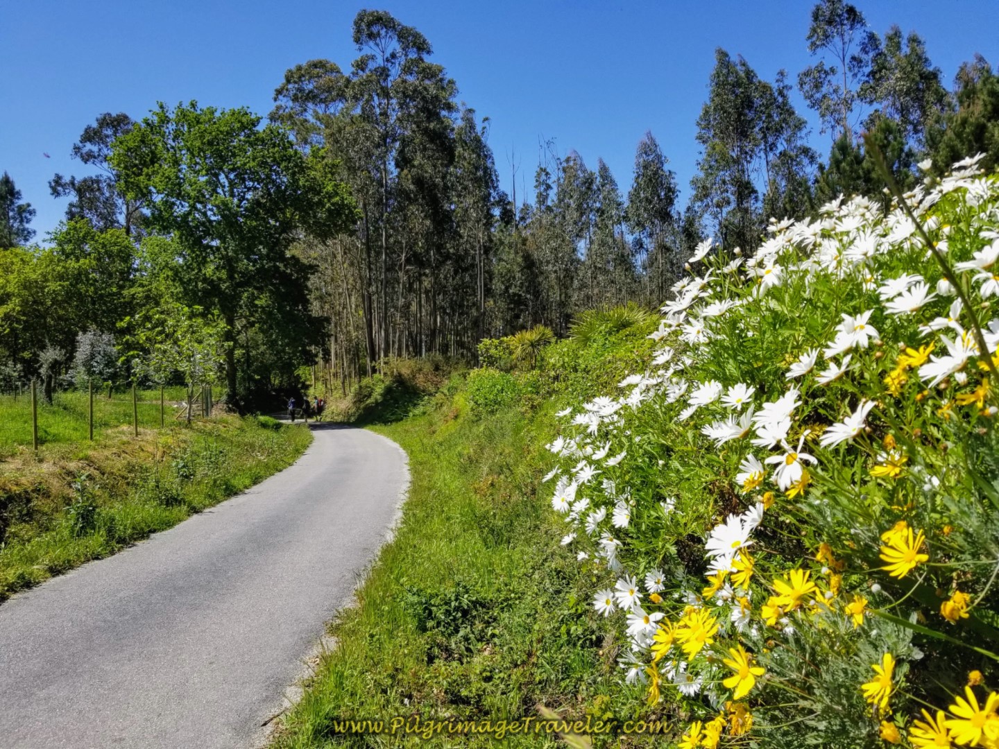 Camino Inglés - Day 5:  Betanzos to Presedo, 11.26 Kms (7.06 Miles)