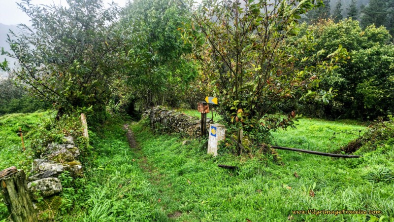 Final Path Into Pola