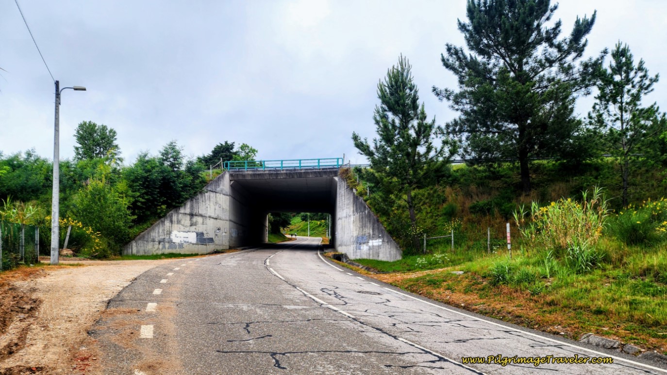 Walking Under the IP3, Day Ten, Camino Portugués
