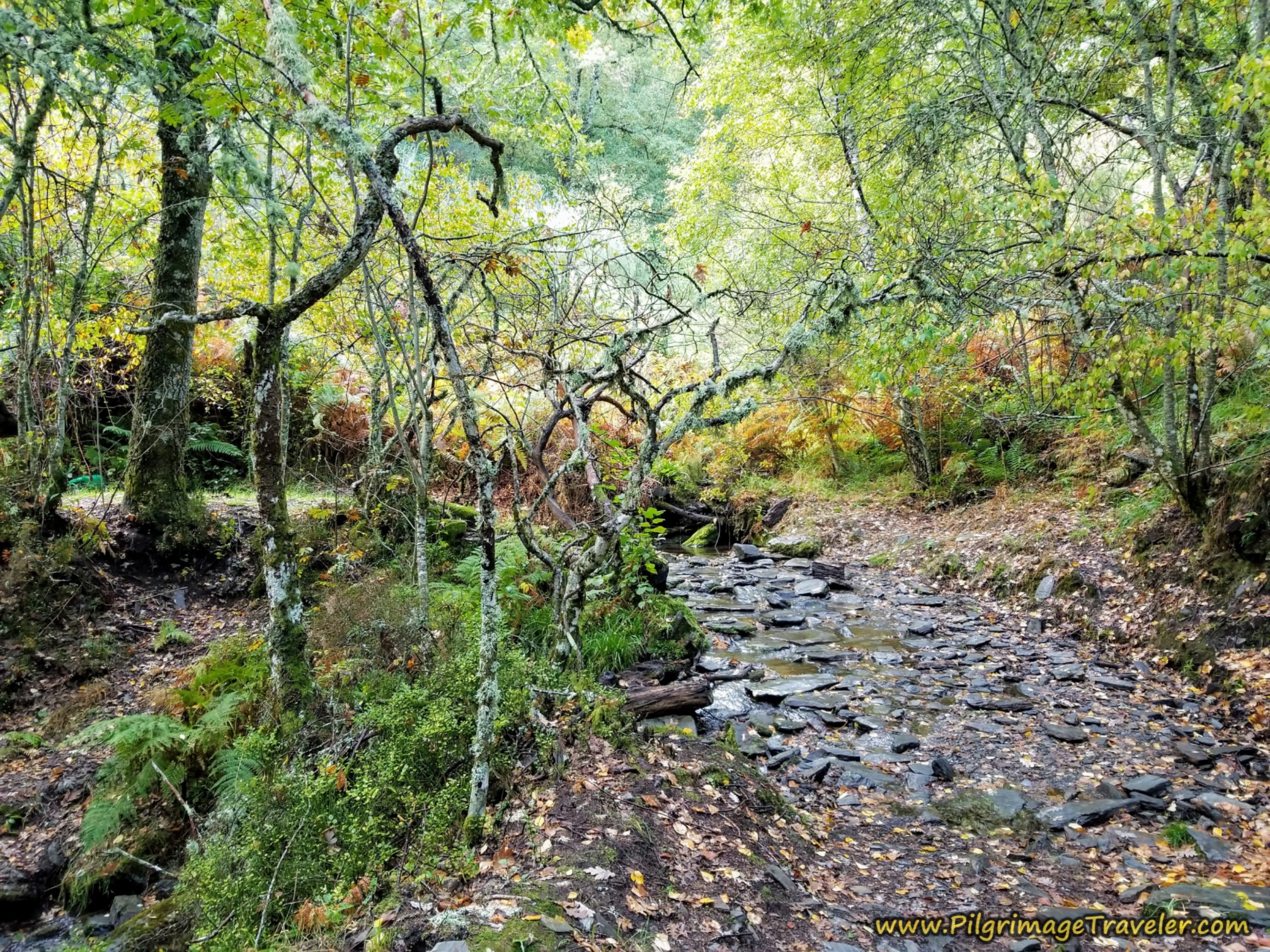 Cross Arroyo on Rocks