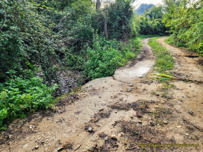 Way of St. Francis: Day Twenty-One, Ponticelli to Monterotondo - Downhill Ends at this Drainage