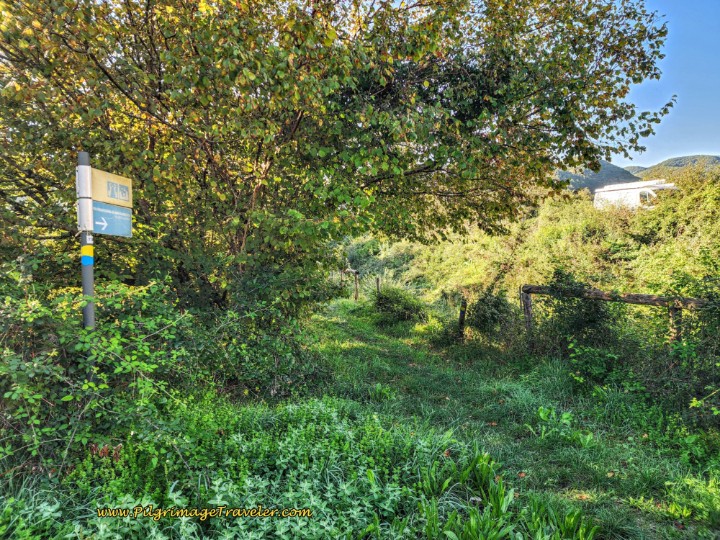 Way of St. Francis: Day Nineteen, Rieti to Poggio San Lorenzo - Following the Irrigation Ditch on the Left Hand Side