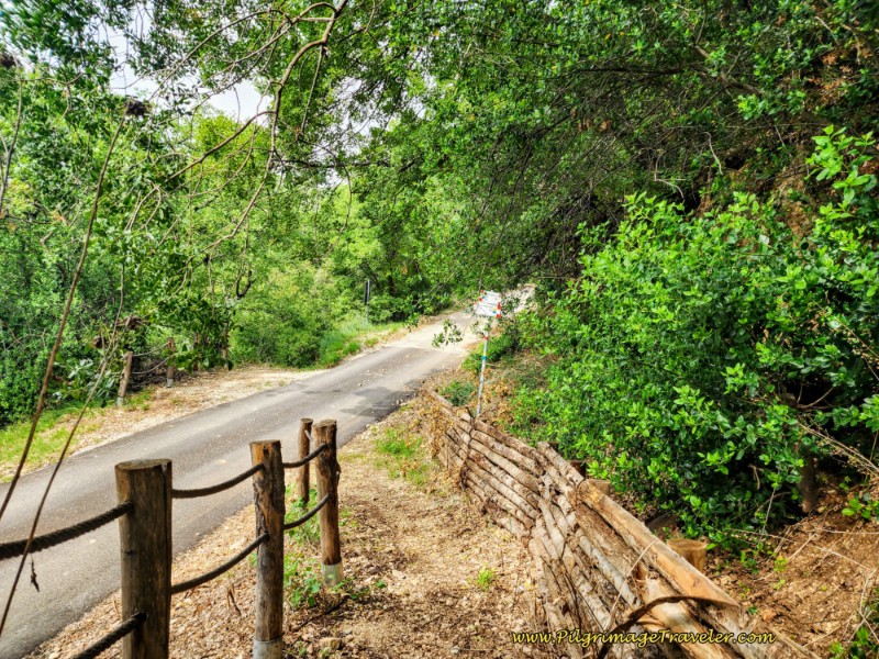 Way of St. Francis: Day Fourteen, Poreta to Spoleto - Cross Over Pavement at Intersection