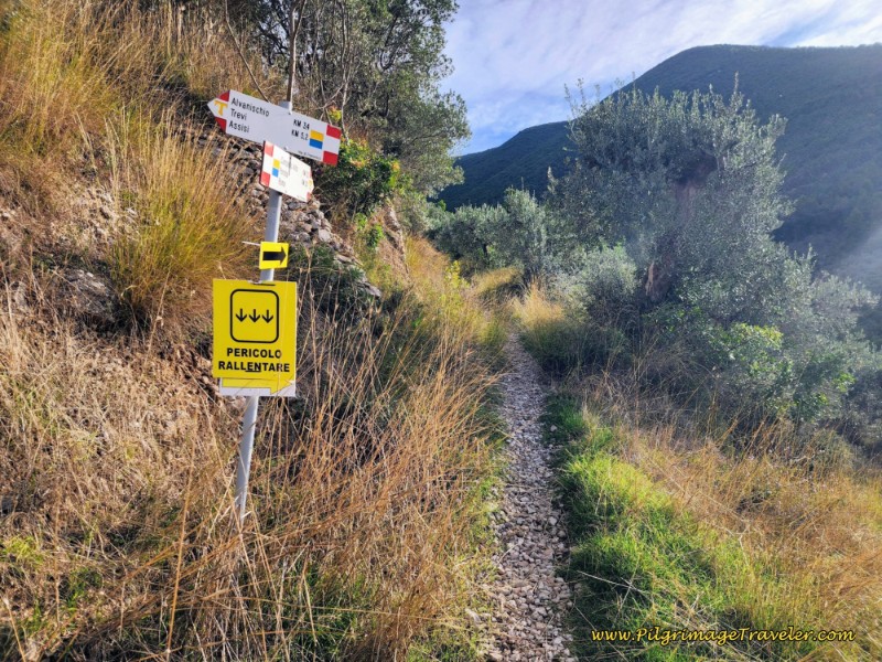Turn Left Onto a Path at the Bottom of the First Climb Way of St. Francis: Day Thirteen, Trevi to Poreta - Turn Left Onto a Path at the Bottom of the First Climb