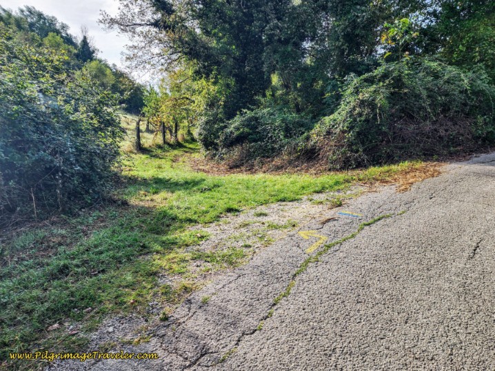 Way of St. Francis: Day Twenty, Poggio San Lorenzo to Ponticelli - Left Turn Onto Lane