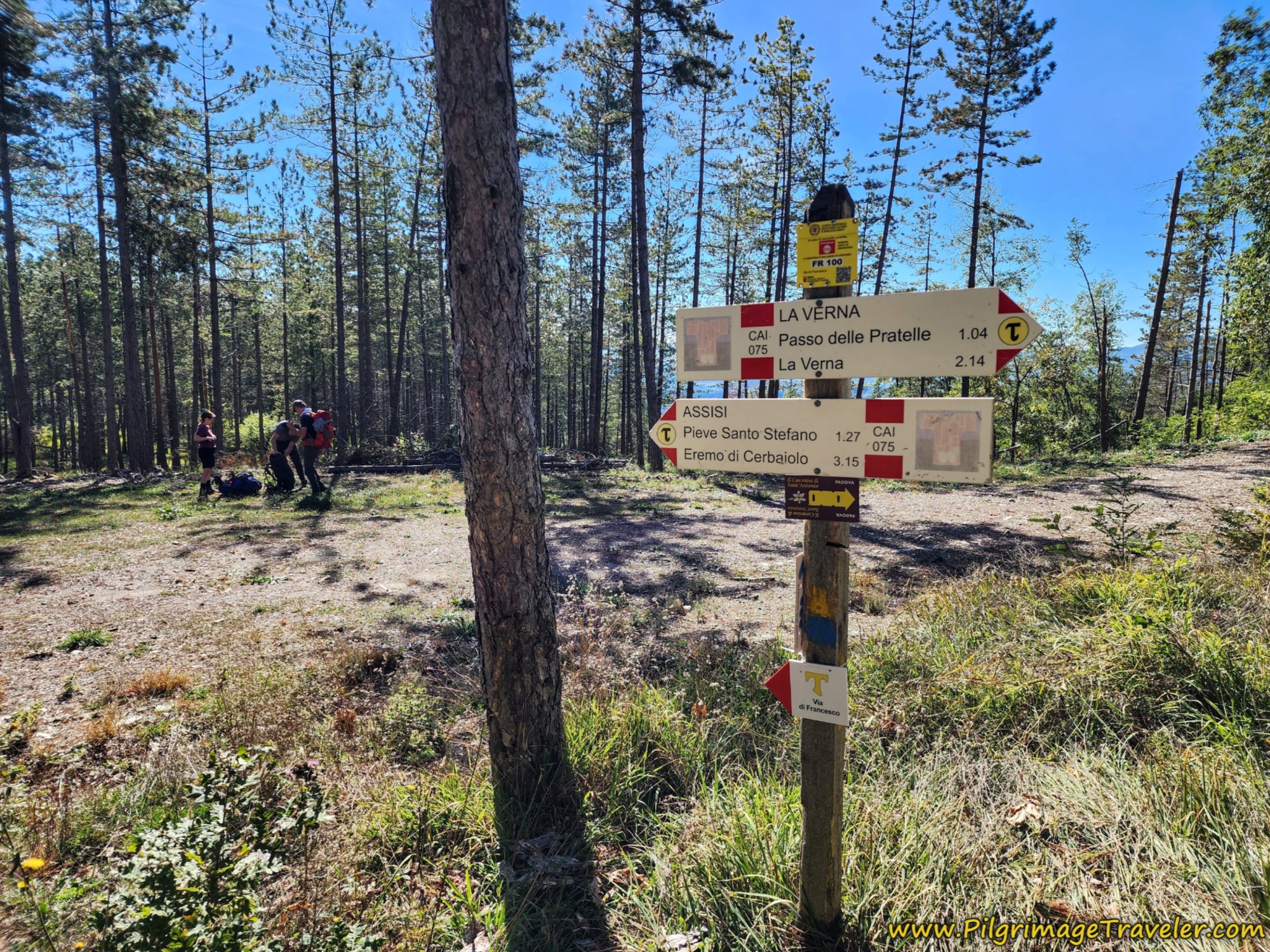 Opening at the Bottom