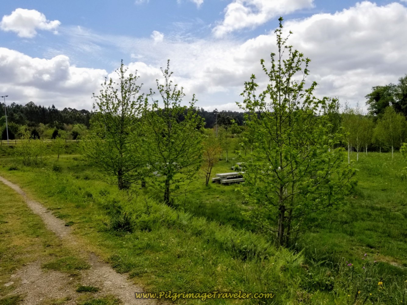 Second Picnic Area on day Three of the Camino Inglés
