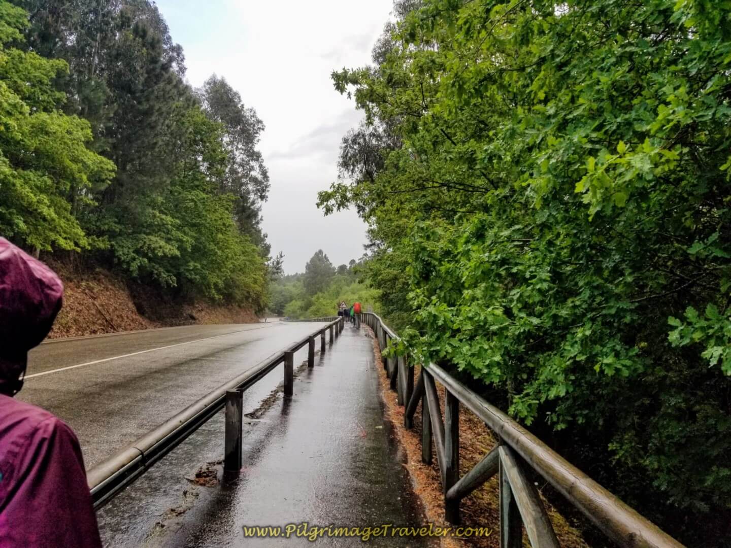 Glyvia Looks Down the Pilgrim's Path on the PO-342 on day twenty on the central route of the Portuguese Camino
