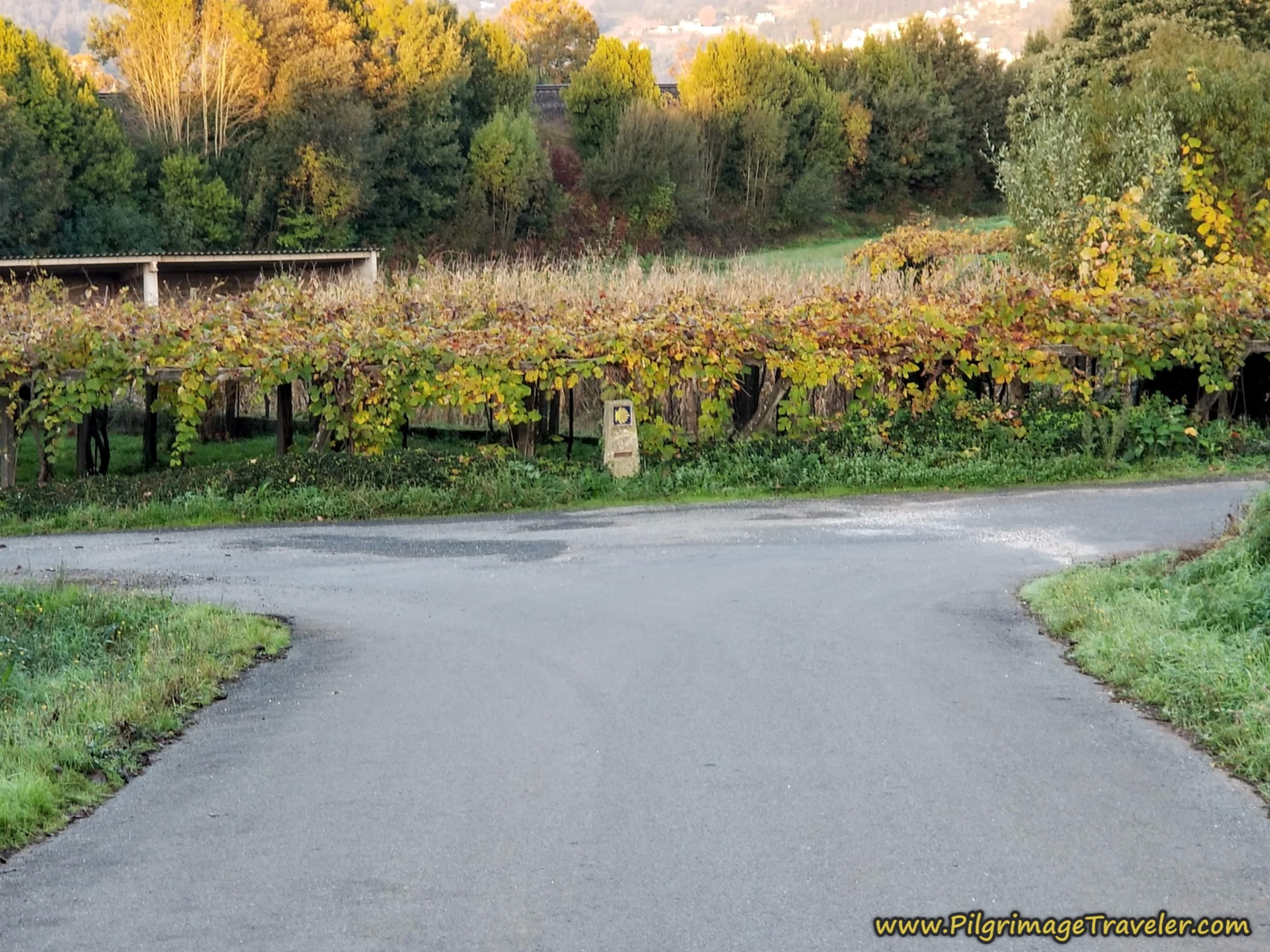 Right Turn Into Aldrei