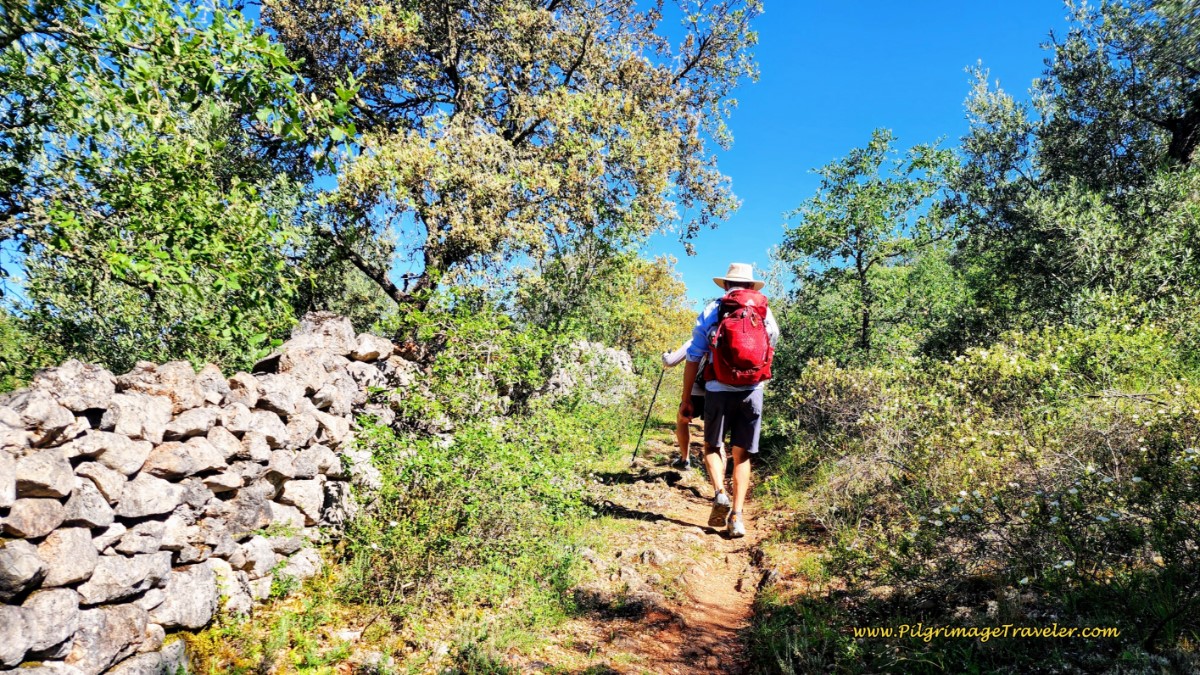 The Walled Path Continues