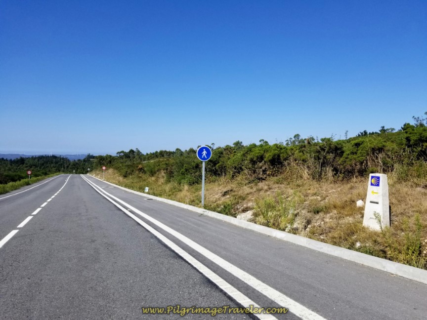 Designated Pedestrian Lane on the DP-3404