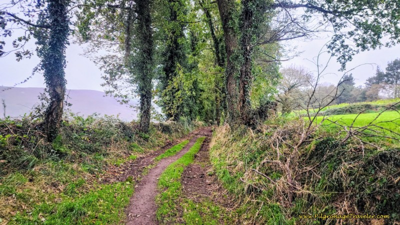 Onward on the Pola Route