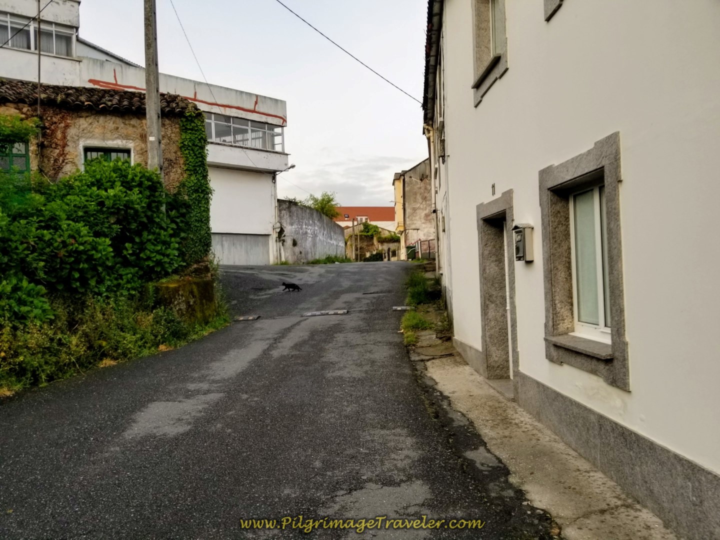Uphill from the Albergue on the Aldea Empedron in Neda on day two of the Camino Inglés Uphill from the Albergue on the Aldea Empedron in Neda on day two of the Camino Inglés
