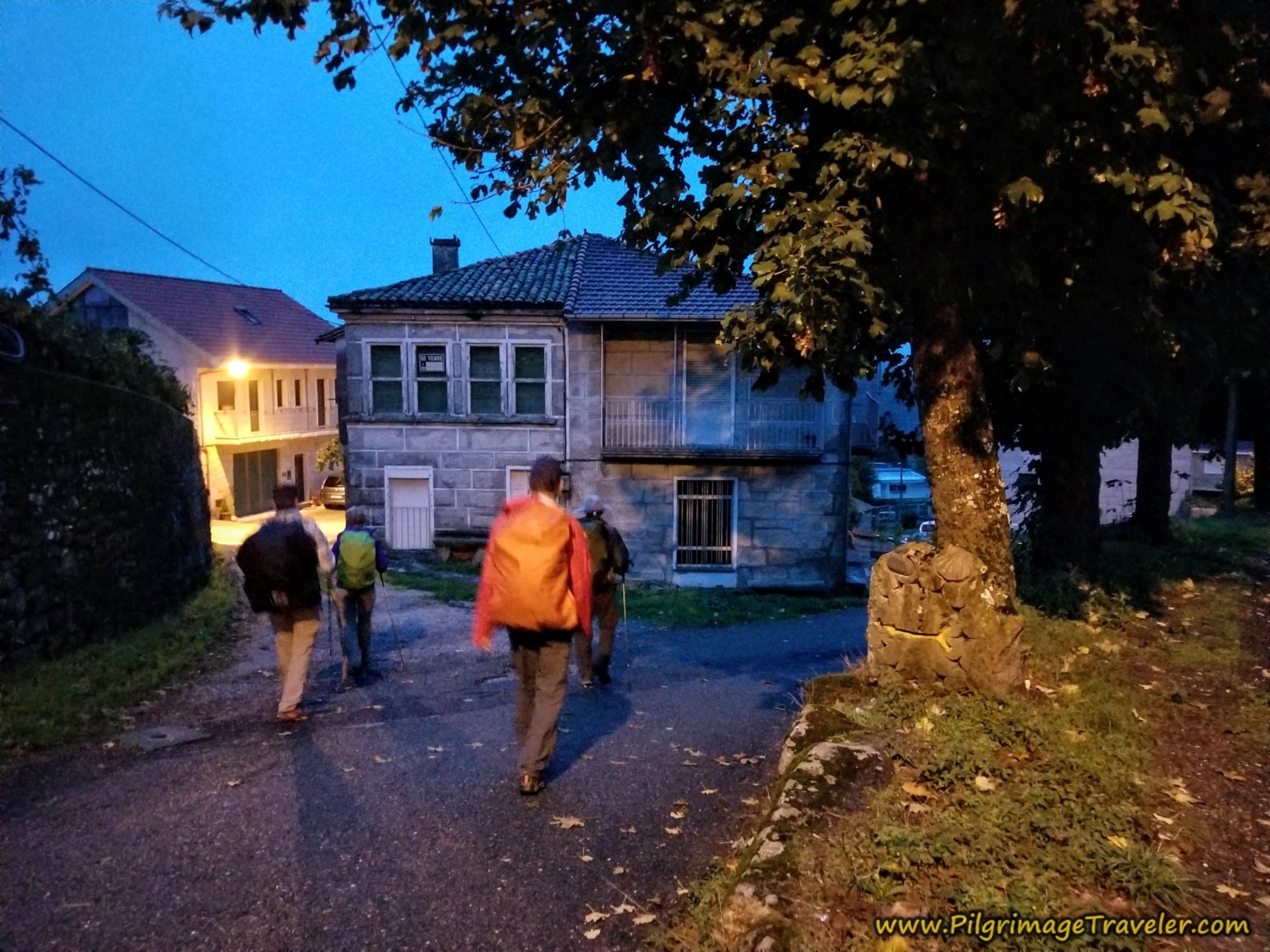 Downhill Through Xunqueira de Ambía
