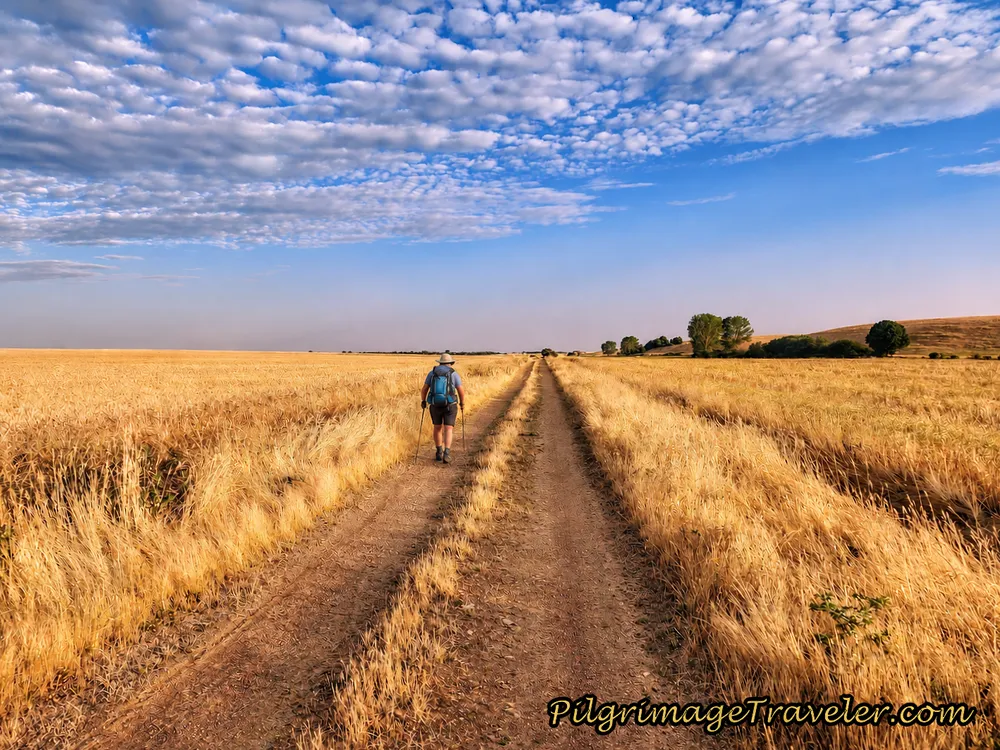 Pilgrimage Traveler Walks Through the Meseta
