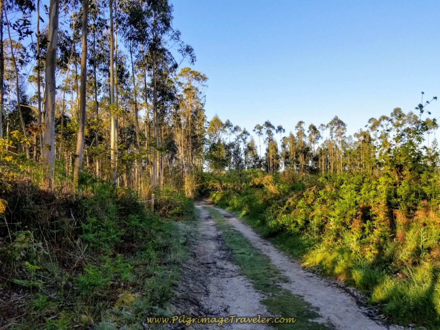 Back Lane in Presedo Turns to Dirt on day six of the Camino Inglés