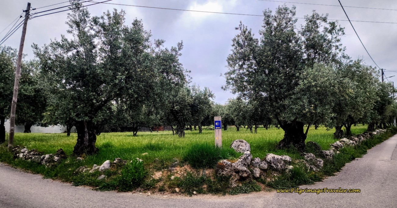 Left onto Travessa Quinta da Areia