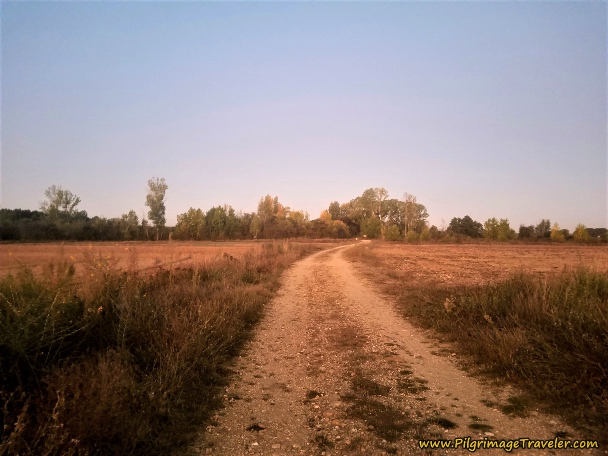 Return to Walking on Farm Roads