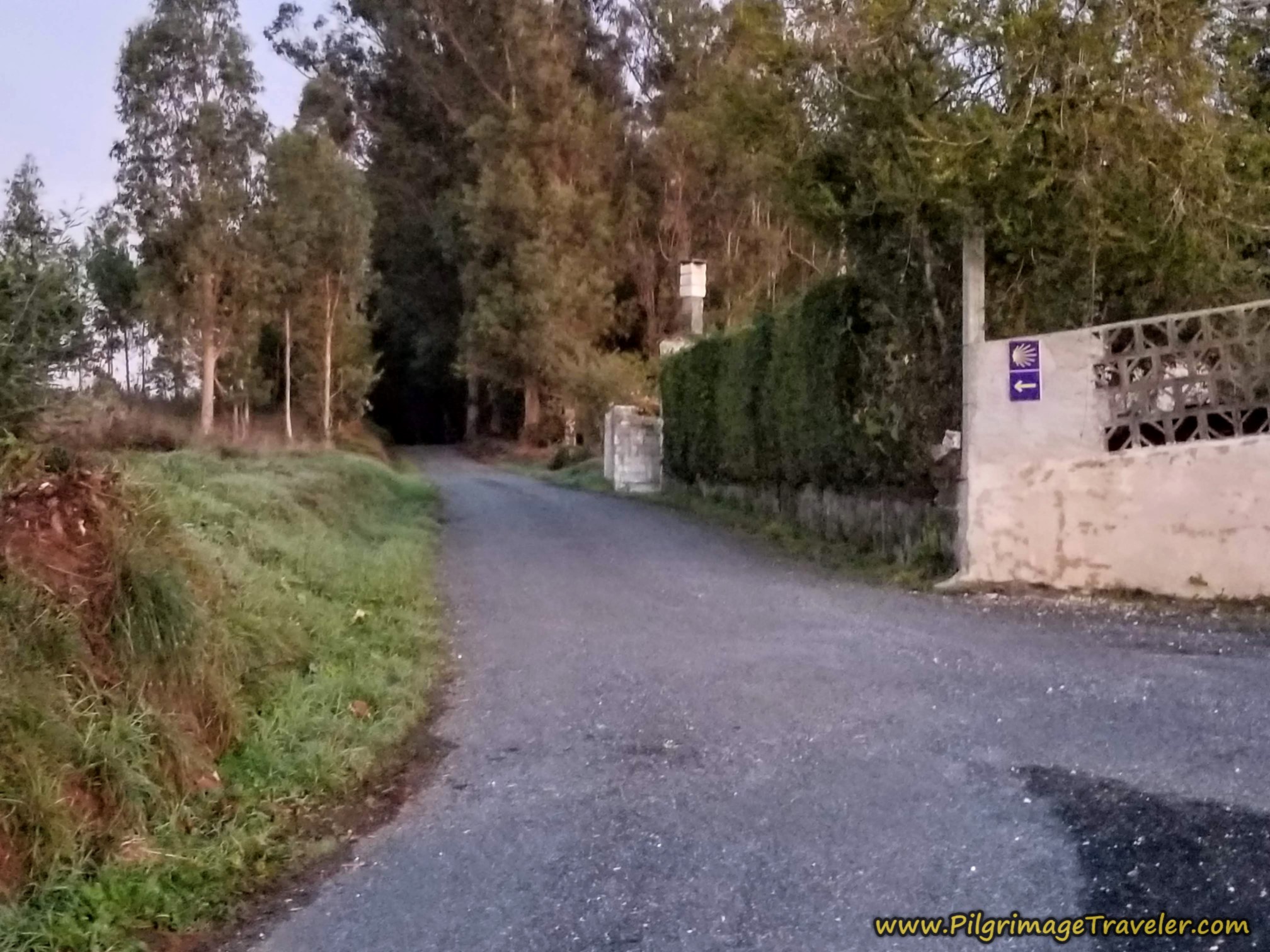 Stay Left Toward a Path in Gándara