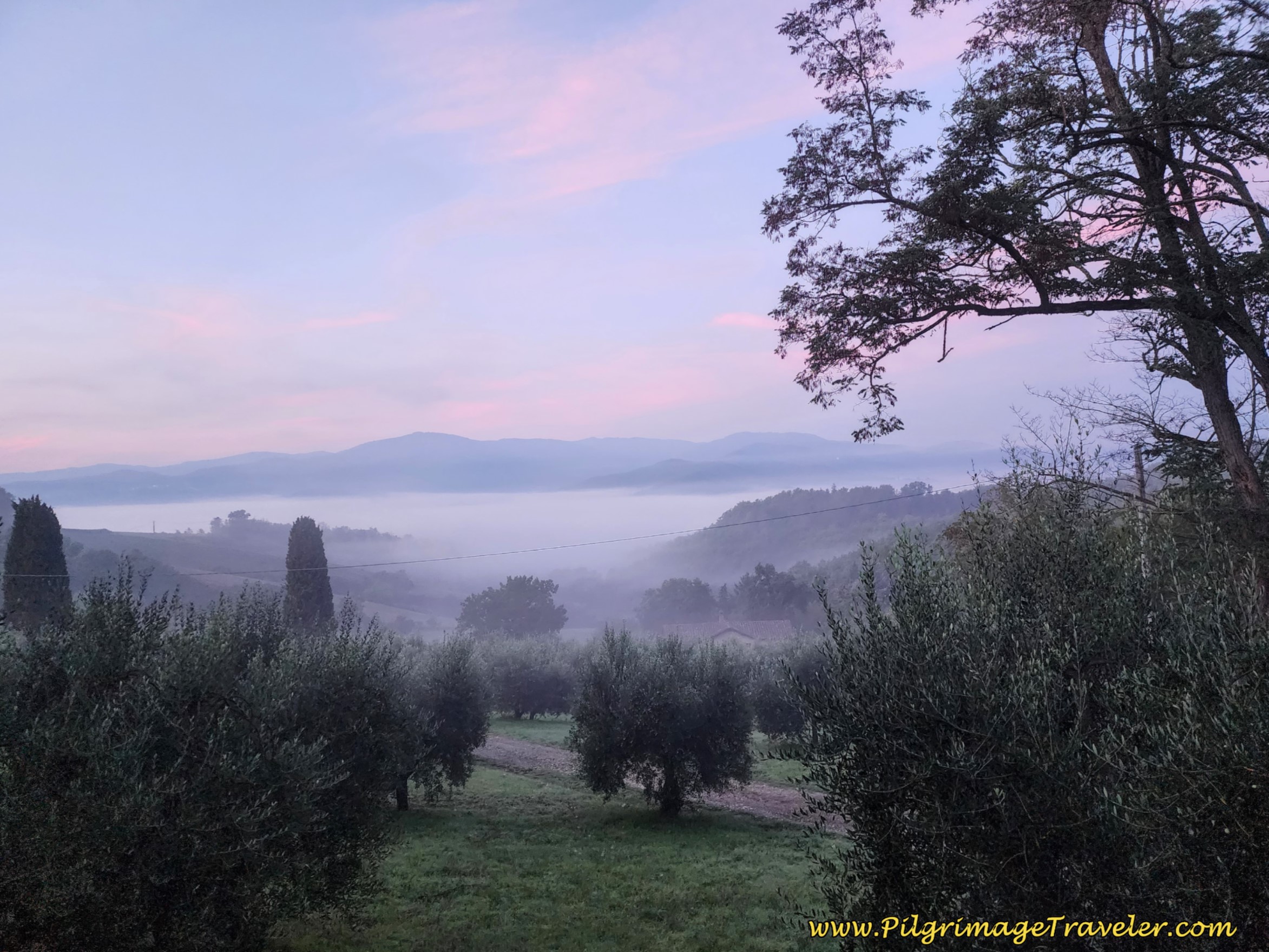 Sunrise through the Mist