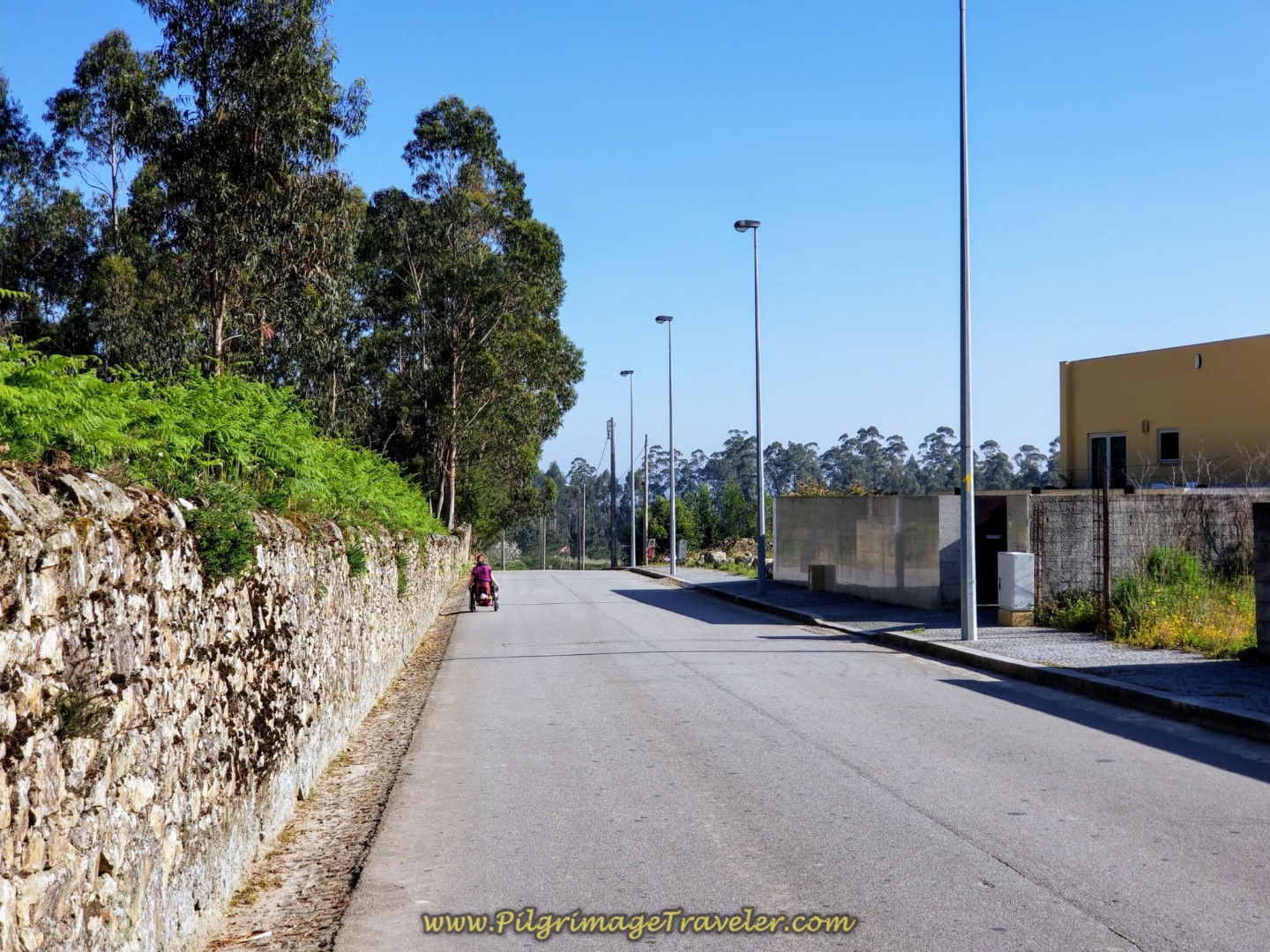 Magdalena Rolls Easily on the Pavement