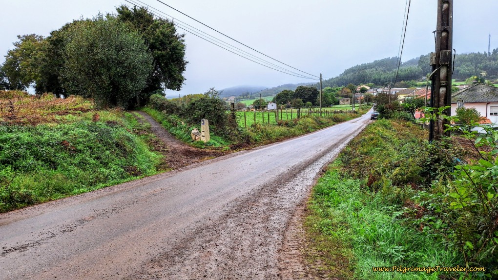 Cross Over Pavement to Another Tractor Lane