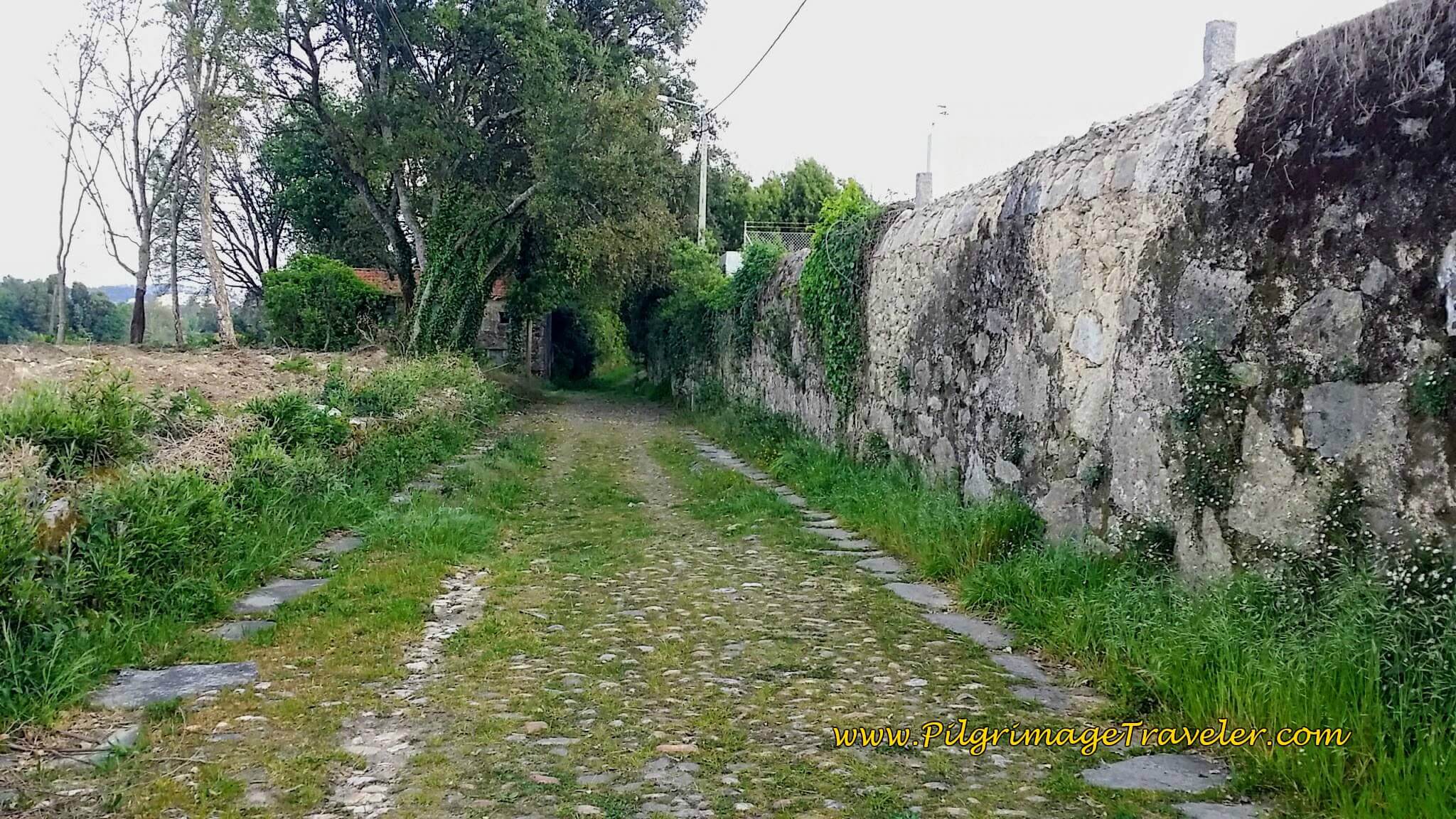 The Antique Roman Road Continues North Toward Porto on day fourteen of the Portuguese Way