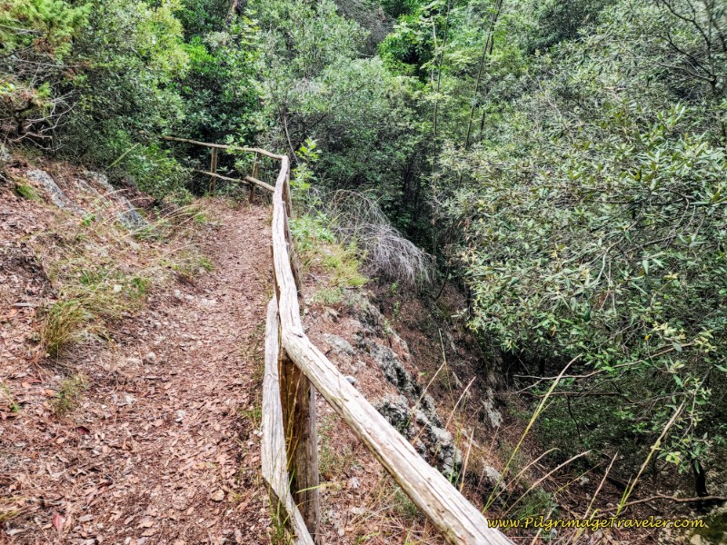 Cross Deep Gorge Way of St. Francis: Day Thirteen, Trevi to Poreta - Cross Deep Gorge