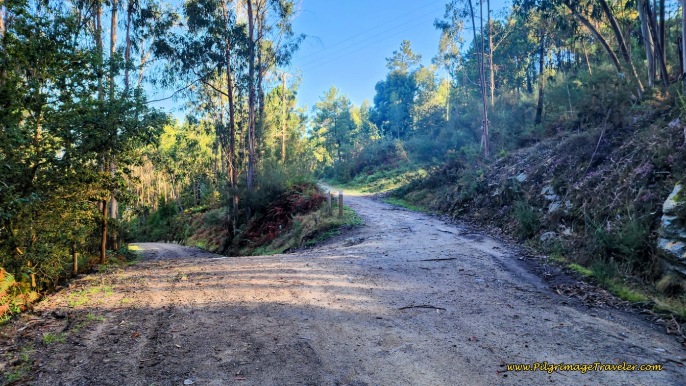 Strong Descent Toward Armenteira