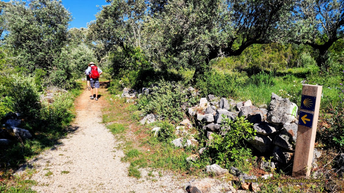 Turn Left, Leaving Pavement Once Again