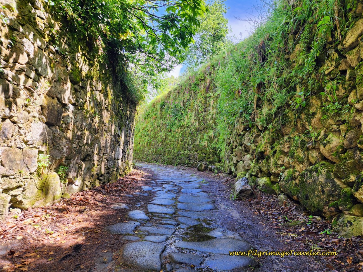 Medieval-Looking Paved Road, Day Eighteen, Coastal Route, Camino Portugués Medieval-Looking Paved Road, Day Eighteen, Coastal Route, Camino Portugués