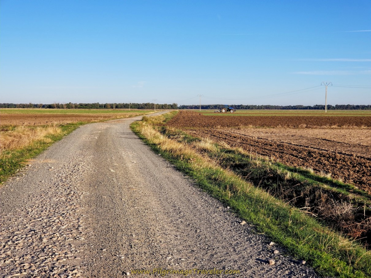 Open Road Towards Papatrigo