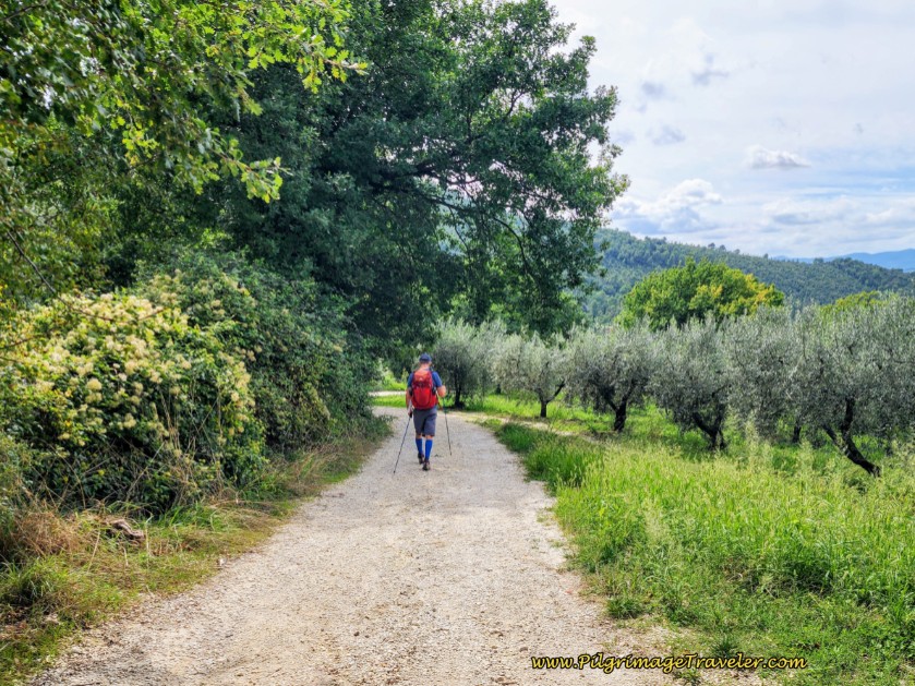 Way of St. Francis: Day Fourteen, Poreta to Spoleto - Path Becomes a Gravel Road