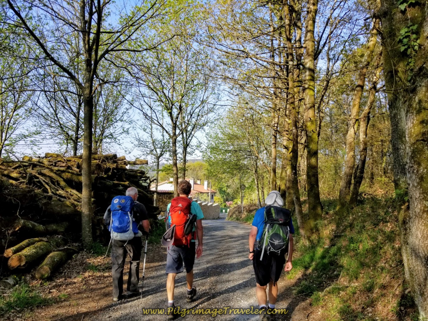 Quaint Road Parallels the N-550 on day eight of the Camino Inglés Quaint Road Parallels the N-550 on day eight of the Camino Inglés