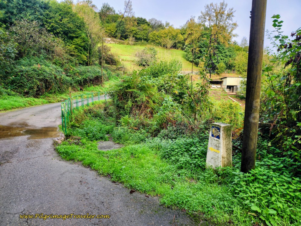 Right Turn Onto the Overgrown Path Right Turn Onto the Path