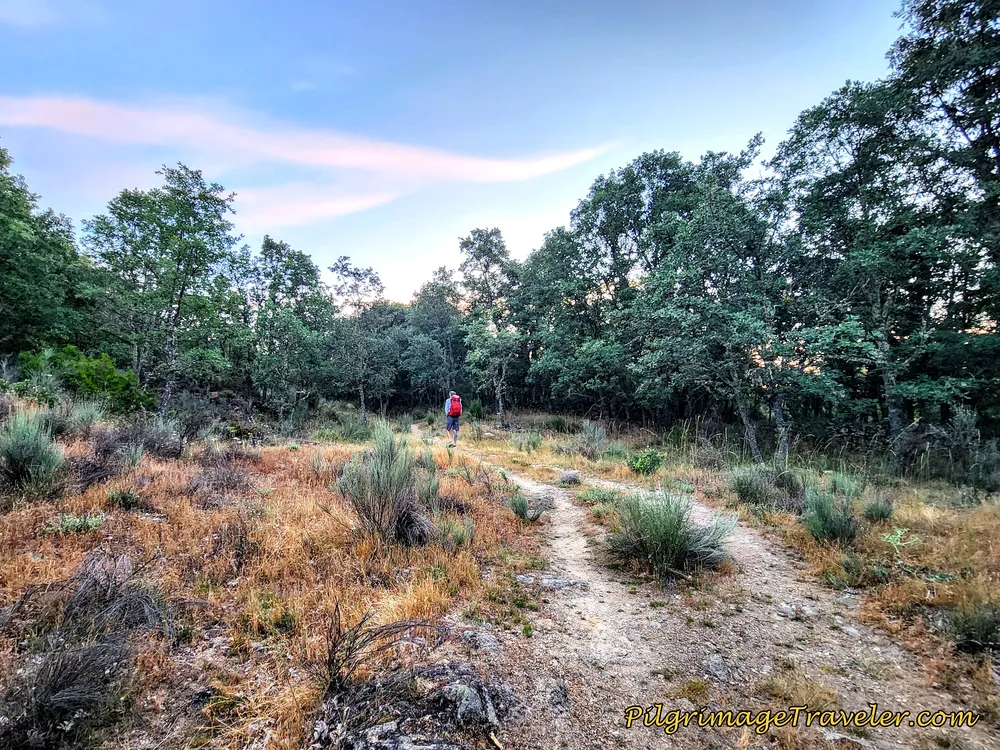 Uphill Climb From Arroyo