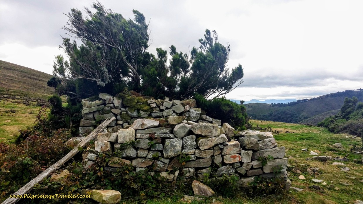 Not Much Left of the Hospital Paradiella