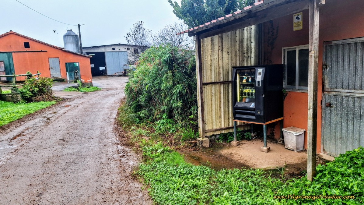 Vending Machine at Farm