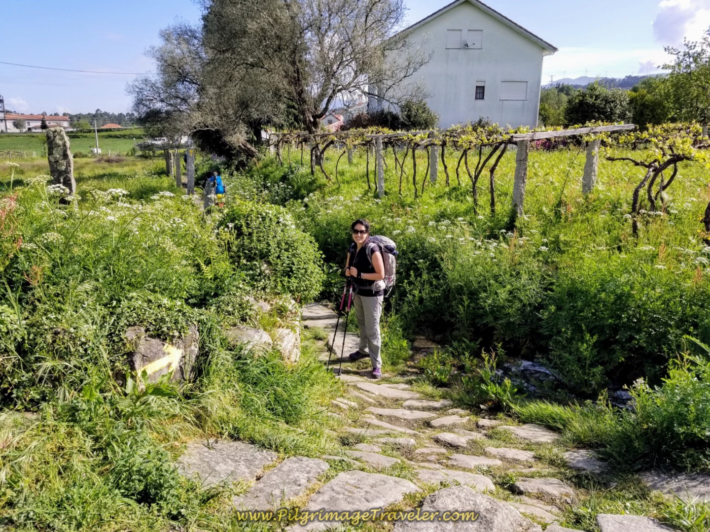 Miriam on the Canal Walkway on day nineteen on the Central Route of the Portuguese Camino