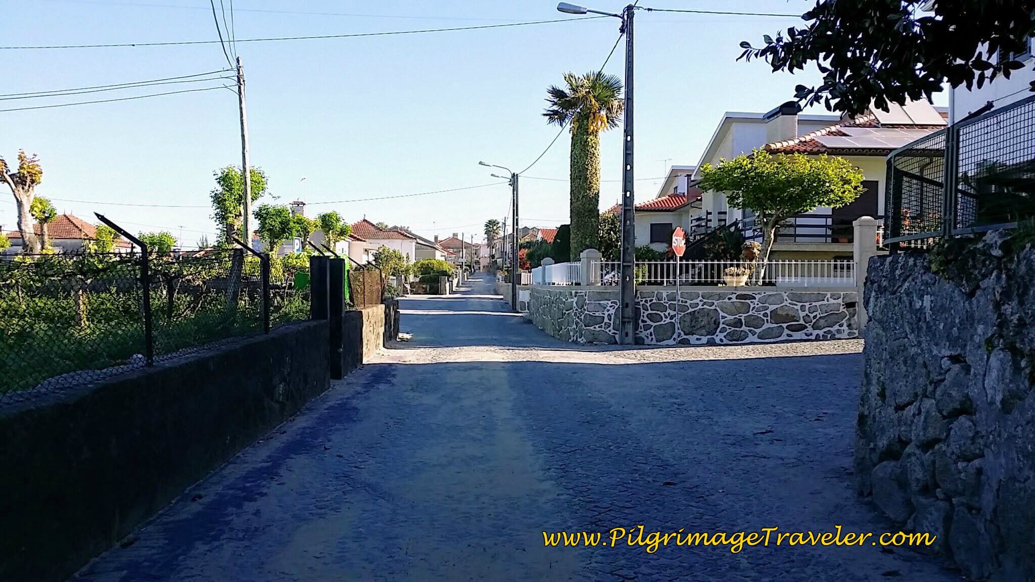 Along the Rua Padre Almeida, Just Past the Church on day seventeen of the Portuguese Way
