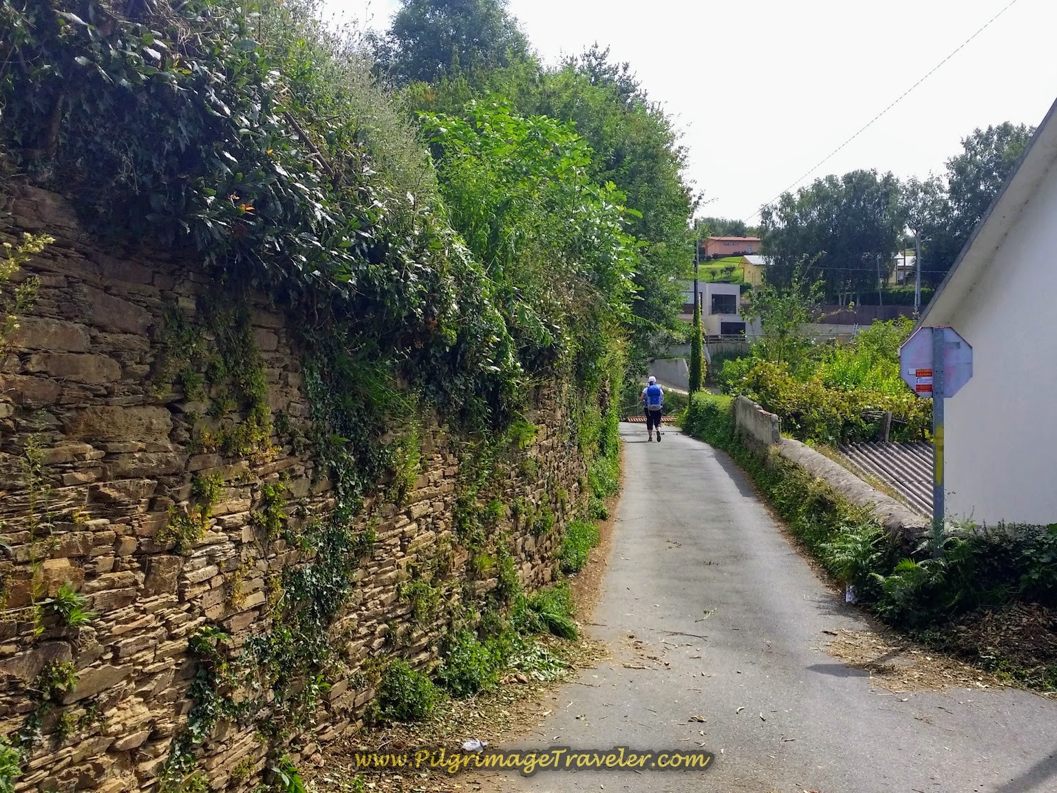 Continuing on the Aldea Conces on day two of the Camino Inglés