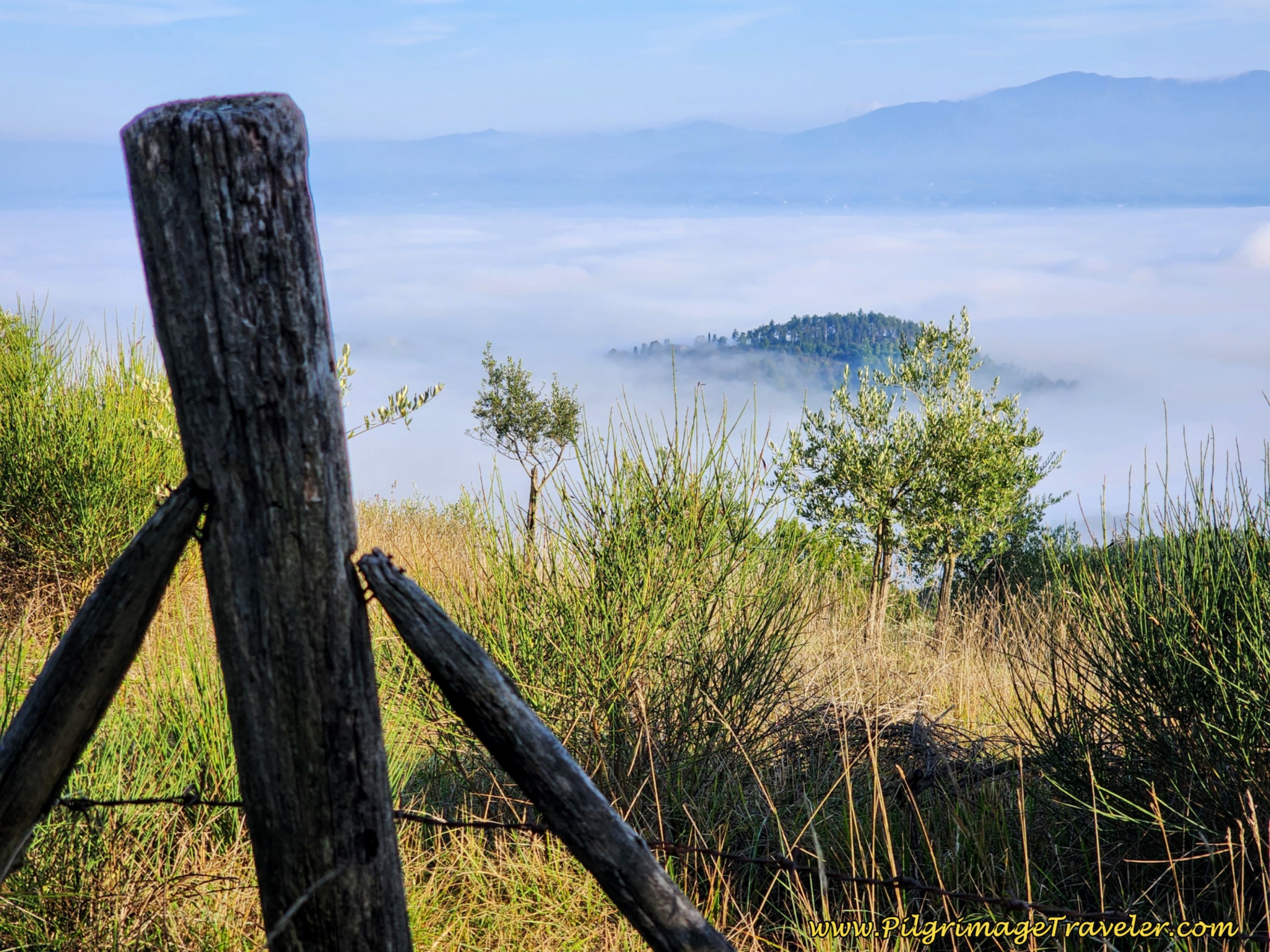 Views From the First Altitude Top