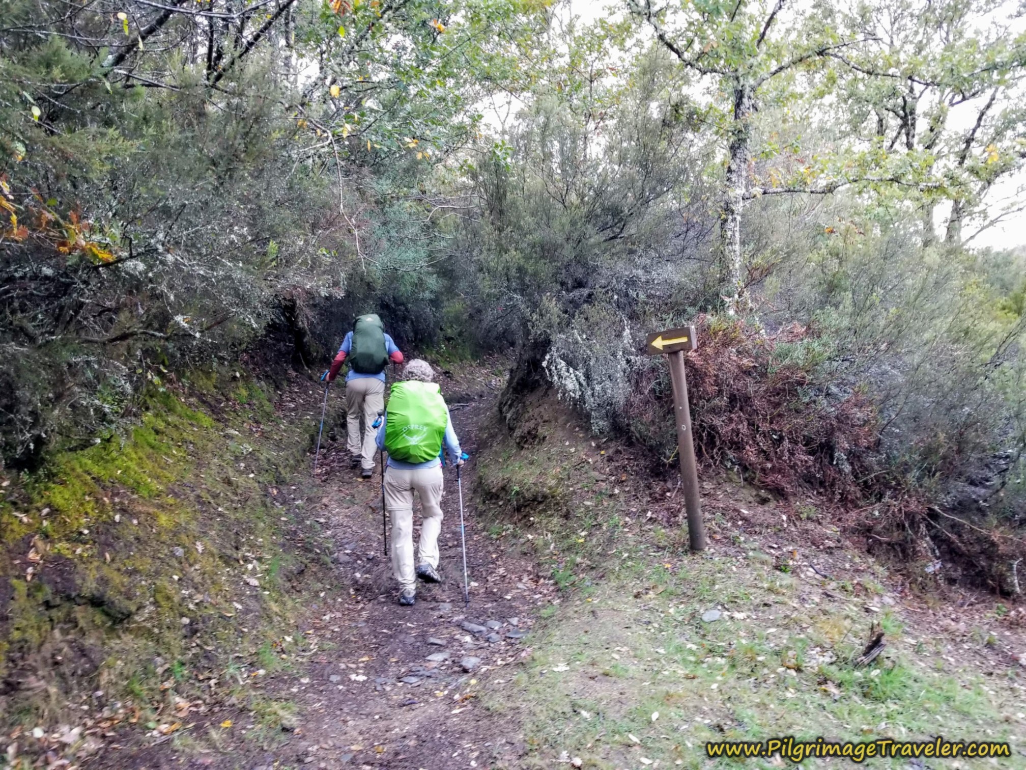 Camino Sanabrés, Lubián to A Gudiña, Day Seven, 24 Kms, 14.9 Miles