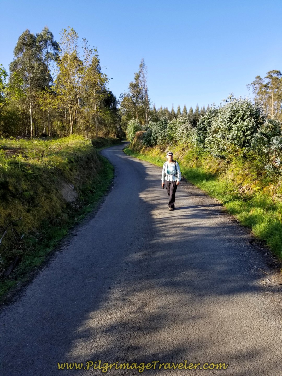 Elle on Road to Cultivated Wooded Area on day two of the La Coruña Arm of the Camino Inglés