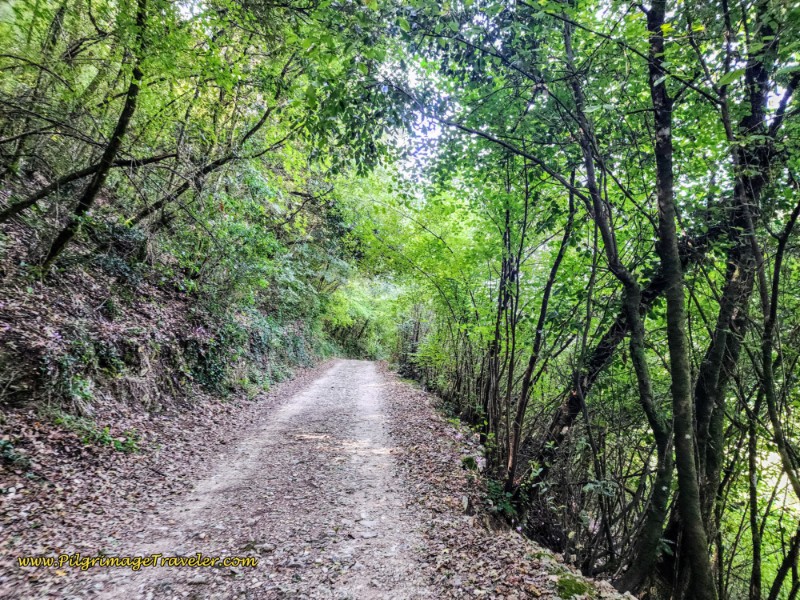 Way of St. Francis: Day Sixteen, Macenano to Piediluco - Into the Forest