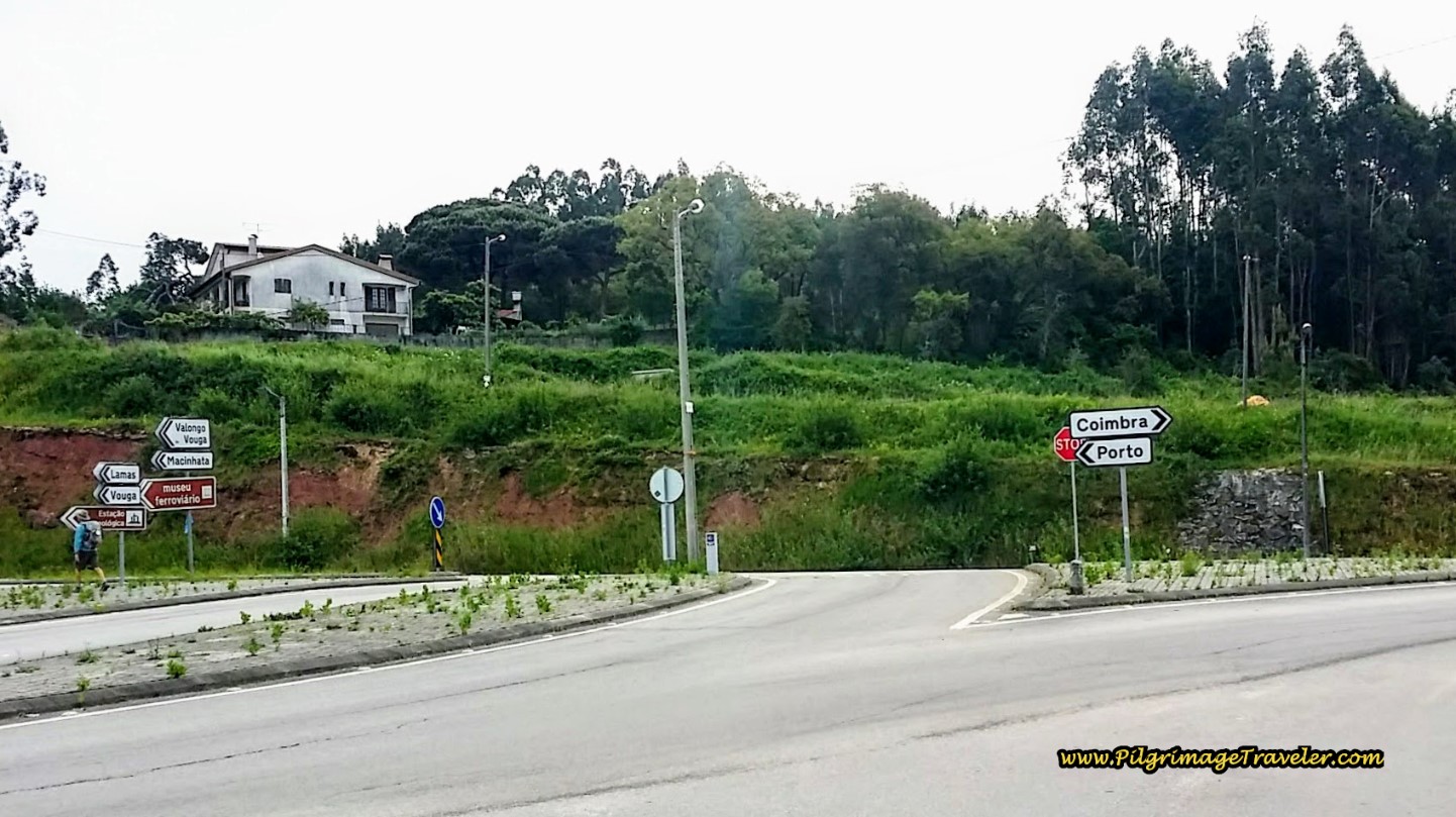 Turn Left on the N1 Toward Porto