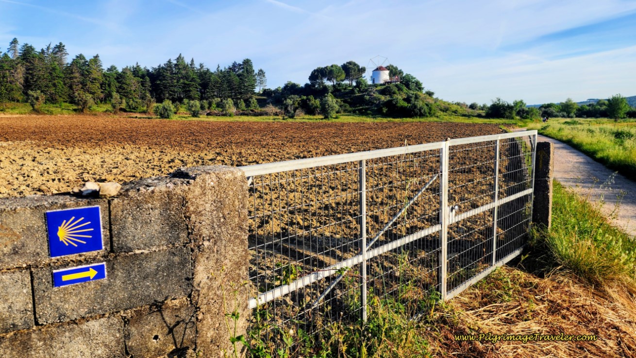 Left Turn at Windmill