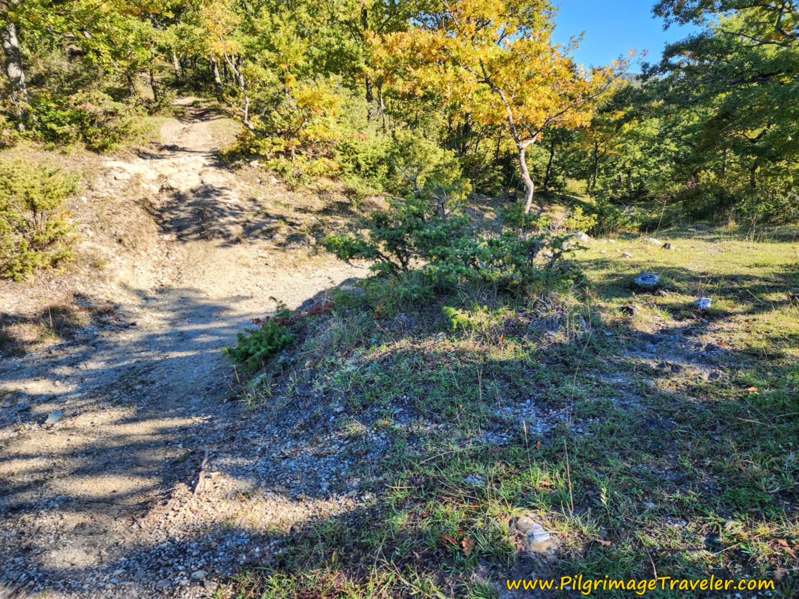 Merge with the Main Route